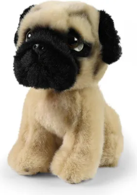 Produktbild von Kuscheltier Mops 18 cm sitzend Plüschhund