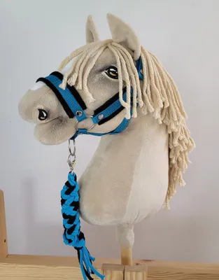Produktbild von Hobby Horse Set: A3 Halfter mit schwarzem Fell + Seilleine - Schwarz und Türkis