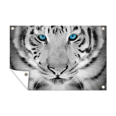 Obrázek produktu pro MuchoWow® Zahradní plakáty - Tygr - hlava - nos - 60x90 cm - Zahradní dekorace