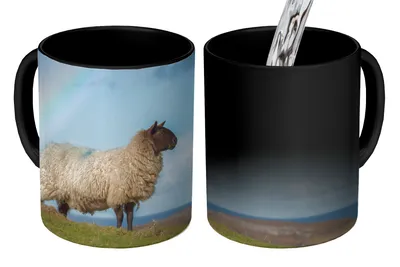 Obrázok produktu pre MuchoWow® Magický pohár Ovce - obloha - dúha 350 ml Pohár na zmenu farby Darček Nápad na darček - Foto hrnček