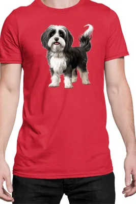 Immagine prodotto di Maglietta da uomo Dogs Breeds Havanese Dog Breed 006, Man S , Rouge
