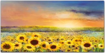 Produktbild von Coloray Bild aus Leinwand 120x60 Leinwand Dekoration - Blumen Feld von Sonnenblumen