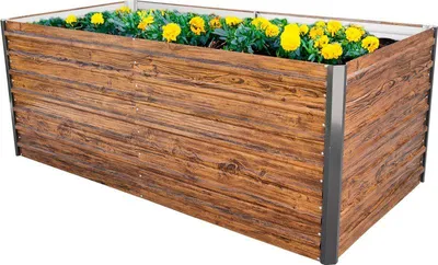 A rectangular raised garden bed filled with yellow flowers and green foliage, set against a white background.