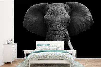 Produktbild von MuchoWow® Fototapete für Wohnzimmer oder Schlafzimmer Wandtapete Vinyl Motivtapete Elefant - Wildtiere - Schwarz - Weiß - Porträt - 525x350 cm - Das Hintergrundbild
