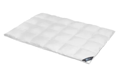 Produktbild von Daunendecke 200x200 cm 60 % Daunen Extra warme Bettdecke Steppdecke Daunen SPESSARTTRAUM BLUE