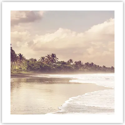 Produktbild von Poster - Poster ohne Rahmen - Palmen Strand Wasser - 50x50 cm - Wand Bild - Wanddeko - Wandbilder - Kunstposter - Wandposter - Bilder - Kunstdruck - Wanddekoration - Wandbild - P2XAC50x50-4917