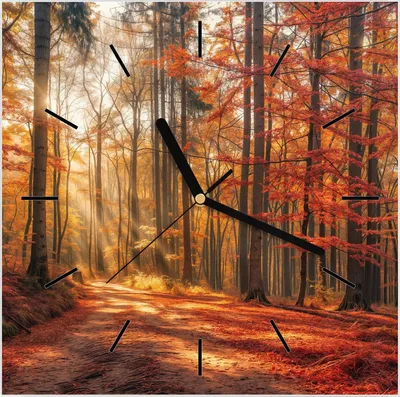 Produktbild von Wanduhr aus Glas mit Motiv Herbstlicher Waldweg- 30 x 30 cm - inkl. Aufhängesystem