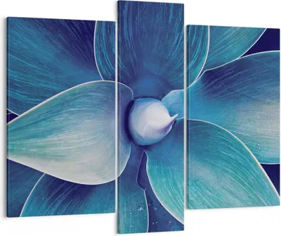 Produktbild von Bild auf Leinwand - Leinwandbild - 3 Teile - Agave Blau Blume - 95x80cm - Wand Bild - Wanddeko - Wandbilder - Leinwanddruck - Bilder - Wanddekoration - Leinwand bilder - Wandbild - CB95x80-4972