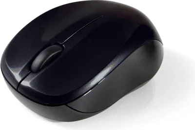 Immagine prodotto di Verbatim Go Nano mouse Ambidestro RF Wireless 1600 DPI