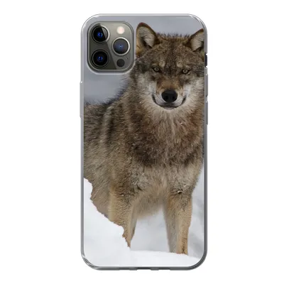 Produktbild von MuchoWow® Handyhülle Schutzhülle Hülle für iPhone 12 Pro Max Wolf - Schnee - Tiere Silikon Softcase Handy Hülle - Hartschale