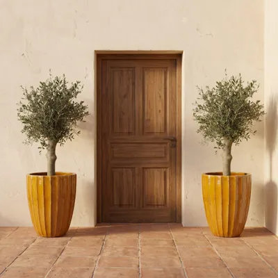 Produktbild von Provencelia Olivenbaum im Keramik Pflanzkübel HUGO Honiggelb, Ø55 x H71 cm, Olea europaea, mit kräftigem Stamm, lebendige Pflanze, Mediterran, Outdoor