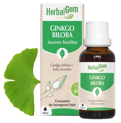 Image de Pranarom - Bourgeon de Ginkgo Biloba -- 30 ml