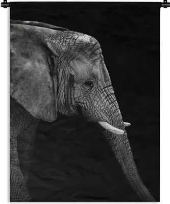 Produktbild von MuchoWow® Wandteppich Wandbehang Elefant - Schwarz und weiß - Porträt - Tiere 60x80 cm Tapisserie Dekoration Wandtuch - Decke - Wandtücher - Wohne