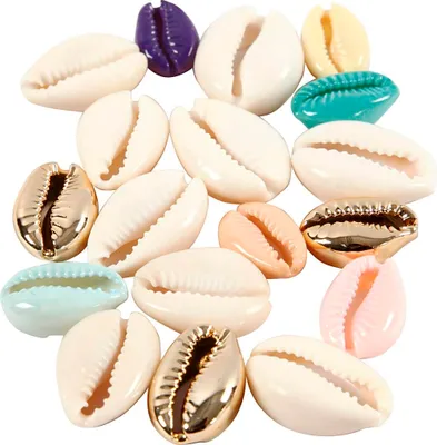 Immagine prodotto di Perle di conchiglia