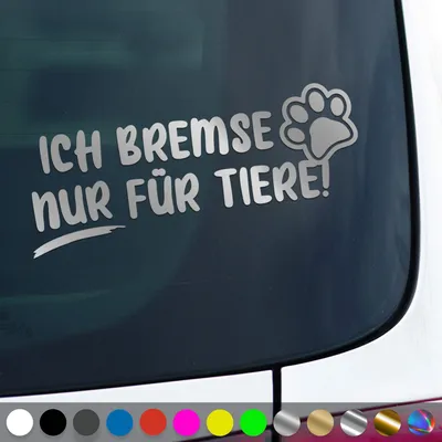 Produktbild von PantherPixel Bremsen Aufkleber Nur Für Tiere Tierrettung Tierschutz Sticker Auto Geschenkidee Farbe Silber