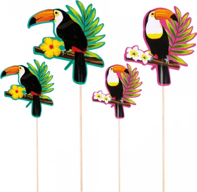 Produktbild von 4 Picker Tropical Tukan 17,5cm-25cm