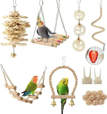 Image de Set de jouets pour perroquets 18 pièces cage à oiseaux accessoires perche échelle jouet à mâcher hamac