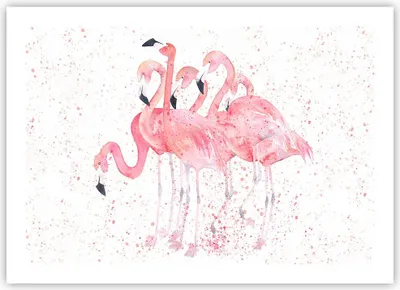 Produktbild von Poster - Poster ohne Rahmen - Flamingo Vogel Wasser - 70x50 cm - Wand Bild - Wanddeko - Wandbilder - Kunstposter - Wandposter - Bilder - Kunstdruck - Wanddekoration - Wandbild - P2XAA70x50-3899