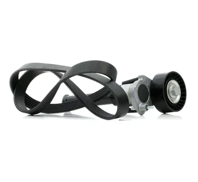 Produktbild von RIDEX 542R0390 Keilrippenriemensatz für VW GOLF VI (5K1)
