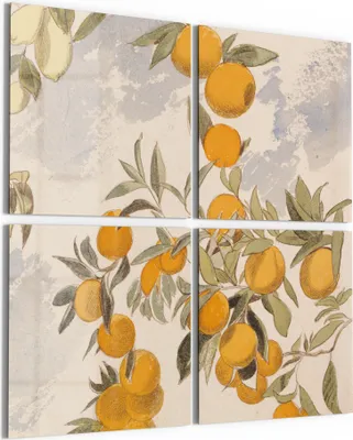 Produktbild von DEQORI Glasbild Echtglas 4x50x50 cm 'Orangenpracht' Wandbilder XXL groß