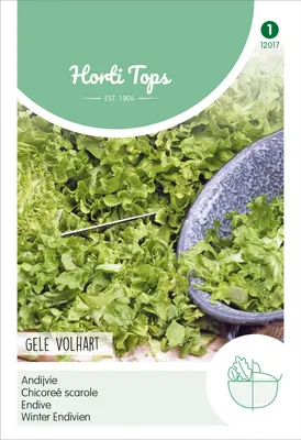 Produktbild von Winterendivien Escariol Gelber | Endiviensalatsamen von Hortitops