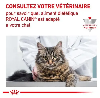 Immagine prodotto di Royal Canin Veterinary Diet Feline Renal Special 4 kg