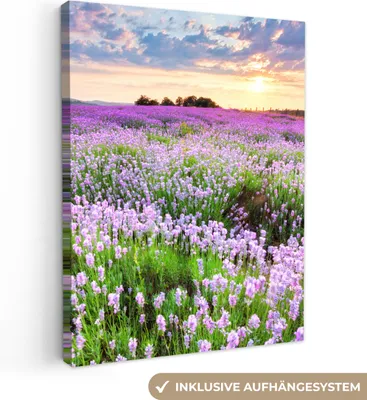 Produktbild von Leinwand Bilder 60x80 cm - Blumen - Lavendel - Lila - Sonnenuntergang - Natur, Bilder, Deko, Wanddeko, Leinwand Bilder