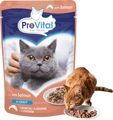 Zdjęcie produktu dla PreVital kapsułki dla kota łosoś 100g w sosie, 15094