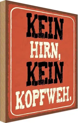 Produktbild von vianmo Holzschild 18x12 cm kein Hirn Kopfweh Dekoration