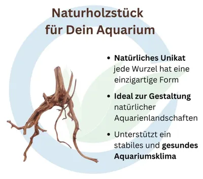 Produktbild von Red Spider Aquarium Wurzel, Naturprodukt, Länge 30-40 cm, nicht vorgewässert