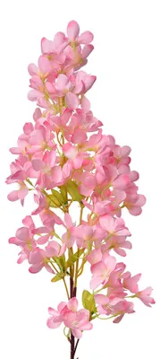 Imagen del producto de Clayre & Eef, flor artificial, 100 cm, color rosa, material: plástico
