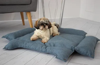 Produktbild von Hundebett & Hundekissen Lotti Blau