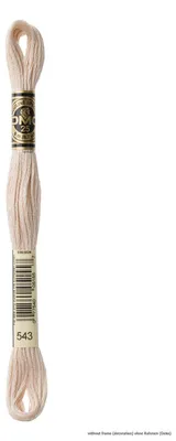 Produktbild von DMC Stickgarn Mouline Special 117MC -543, 6-fädig, 8m