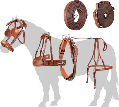 Produktbild von Esposita Einspännergeschirr "Anatomic Style" Cronic Braun Gr. Shetty