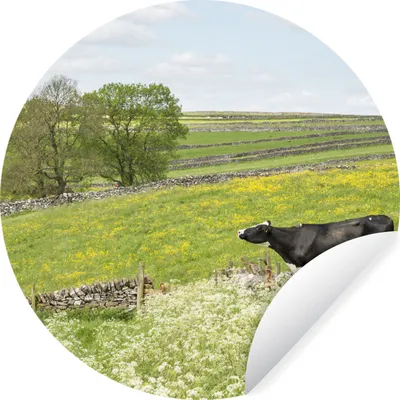 Produktbild von MuchoWow® Runde Wandtattoo - Wandsticker Tapete Aufkleber Kuh - Blumen - Tiere Ø 80 cm Selbstklebend und Repositionierbar - Wandaufkleber - Kreis - Mauerkreis - Wand Bilder - Wandsticker - Wohnzimmer Dekoration - Dekoration für die Wände - Aluminium - Babyzimmer