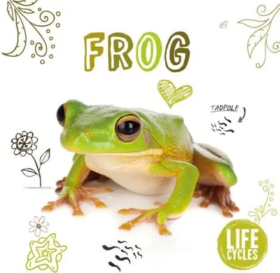 Produktbild von Frog