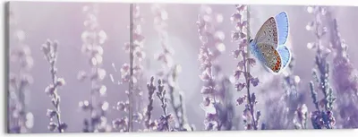 Produktbild von Bild auf Leinwand - Leinwandbild - Schmetterling Wiese Blume - 150x50cm - Wand Bild - Wanddeko - Leinwanddruck - Bilder - Kunstdruck - Wanddekoration - Leinwand bilder - Wandkunst - CA150x50-4014