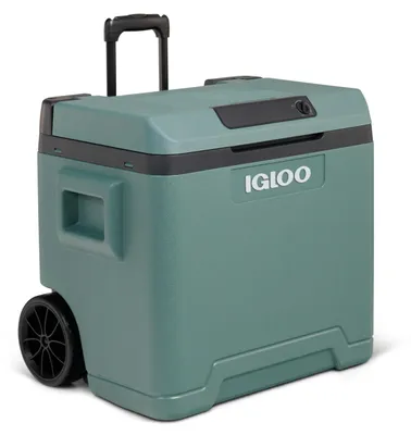 Image de IGLOO Lodowka termoelektryczna IE42 zielona
