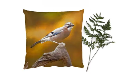 Produktbild von MuchoWow® Zierkissen Sofakissen Wohnzimmer Dekokissen 45x45 cm Vogel - Zweig - Eichelhäher - Schlafpolster - Polster für das Sofa