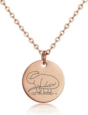 Produktbild von SILBERKETTEN STORE Halskette mit Anhänger Diplodocus - Edelstahl, rosé, Länge 45cm - 45cm
