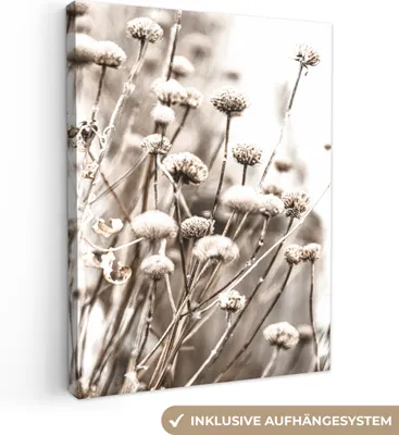 Produktbild von MuchoWow® - Leinwandbilder - Blumen - Pflanzen - Stillleben - Natur, Wandbild, Wanddeko Bilder Wohnzimmer, 30x40 cm