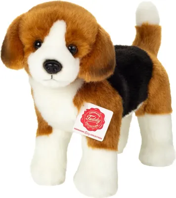 Zdjęcie produktu dla Teddy Hermann pluszowa zabawka beagle stojący 23 cm pluszowy pies