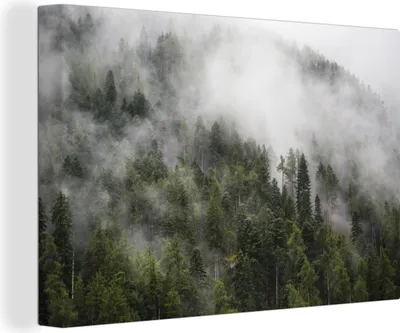 Produktbild von OneMillionCanvasses® - Leinwandbilder - 140x90 cm, Wald - Nebel - Berg, Wandbilder Kunstdruck Wanddekoration