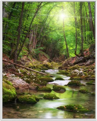 Produktbild von Wallario Wandbild Fluss im Wald, Größe: 40,30 x 50,30 cm, Poster mit weißem Aluminiumrahmen