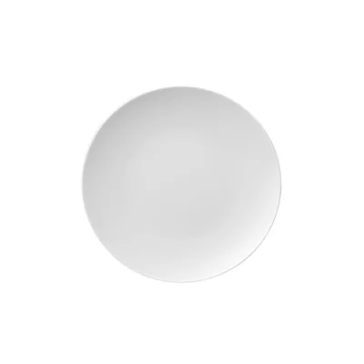 Produktbild von Thomas 10700-800001-10229, Porzellan, Medaillon, 280 mm