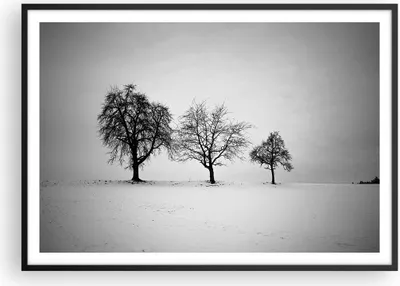 Produktbild von Gerahmtes Poster - Schwarzer Rahmen - Winter Bäume Schnee - 100x70 cm - Wand Bild - Wanddeko - Wandbilder - Kunstposter - Wandposter - Bilderrahmen - Bilder - Kunstdruck - P2BAA100x70-4958
