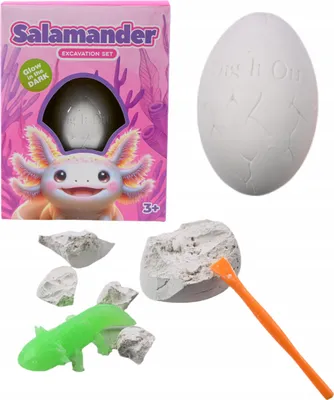 Produktbild von Axolotl Ei Ausgrabungsset für Kinder - Leuchtende Figur im Dunkeln - Kreatives Archäologie Spielzeug