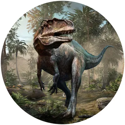 Produktbild von Sticker rund für Junge DINOSAURIER Bäume Dschungel Pflanzen Wanddeko Aufkleber Jugendzimmer Kinderzimmer 100 cm x 100 cm