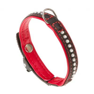 Produktbild von HundeHalsband Lux 28 cm x 15 mm schwarz/rot