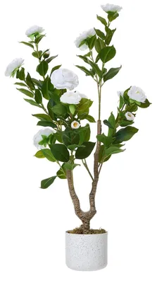 Immagine prodotto di Albero di camelie artificiale - Pianta da interno in vaso, 90 cm, set da 2 - Pianta in plastica realistica - Fiori bianchi - Decorazione per interni, appartamento, ufficio
